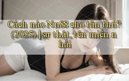 Cách nào Nn88 cho tân thủ (2025) sự thật, tên miền nhái