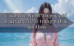 Cách nào Nn88 từ góc nhìn server (2026) trang web kiến thức