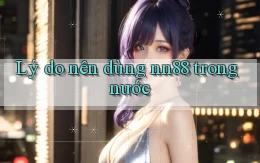 Lý do nên dùng nn88 trong nước