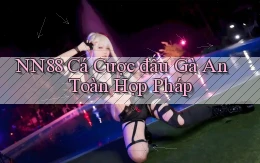 nn88  cá cược đấu gà an toàn hợp pháp