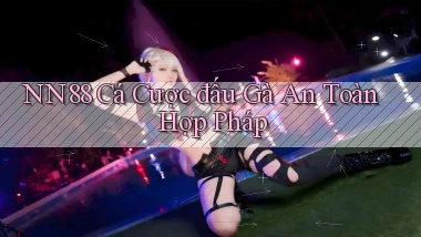 nn88  cá cược đấu gà an toàn hợp pháp