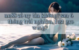 nn88 có uy tín không sau 6 tháng trải nghiệm, fast growing