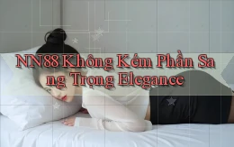 nn88  không kém phần sang trọng elegance