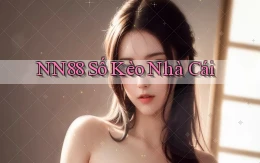 nn88  số kèo nhà cái