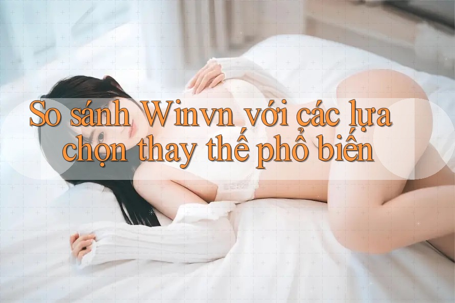 So sánh winvn với các lựa chọn thay thế phổ biến