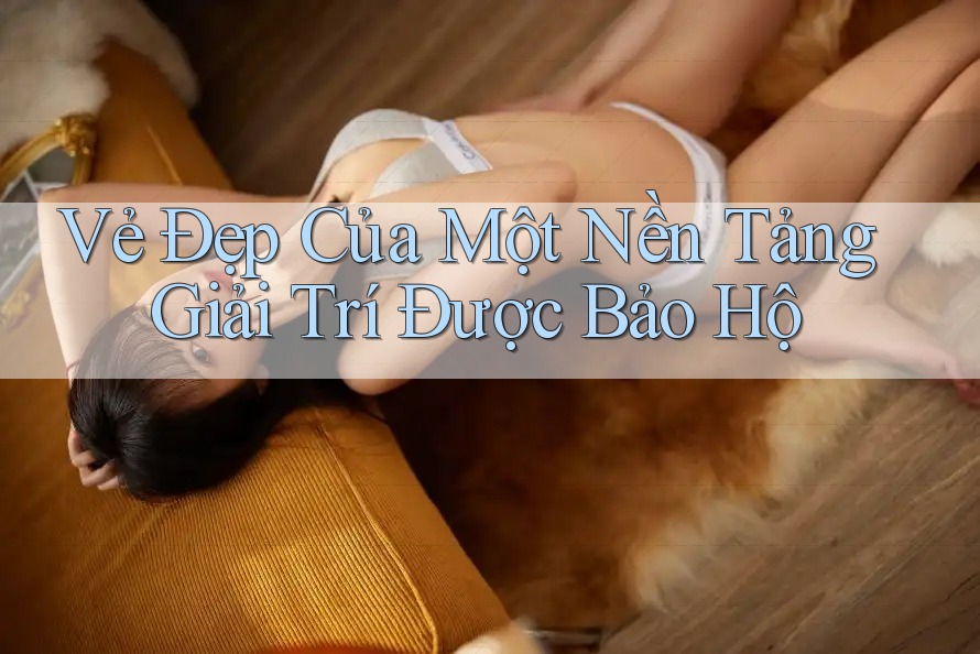 Vẻ Đẹp Của Một Nền Tảng Giải Trí Được Bảo Hộ Vẻ Đẹp Của Một Nền Tảng Giải Trí Được Bảo Hộ